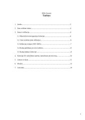 Euro reikšmė tarptautinėje prekyboje 2 puslapis