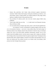 Euro reikšmė tarptautinėje prekyboje 13 puslapis