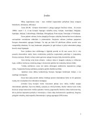 Euro reikšmė tarptautinėje prekyboje 3 puslapis