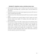 Euro reikšmė tarptautinėje prekyboje 10 puslapis