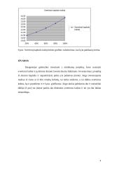 Finansai 5 laboratorinis 4 puslapis