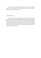 Finansai - laboratorinis 4 puslapis