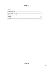 Gyventojų gimstamumas ir mirtingumas autoavarijose 2 puslapis