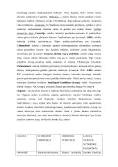 Jutimo organų analizė 11 puslapis