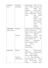 Jutimo organų analizė 12 puslapis