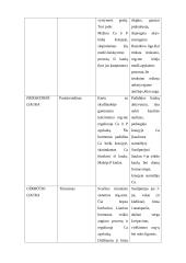 Jutimo organų analizė 13 puslapis