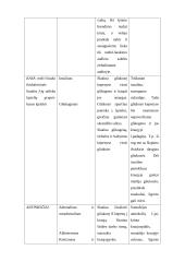 Jutimo organų analizė 14 puslapis