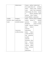 Jutimo organų analizė 15 puslapis