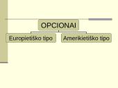 Opcionai 4 puslapis