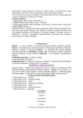 Senovės civilizacijų istorija - teorija 2 puslapis