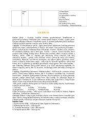 Senovės civilizacijų istorija - teorija 13 puslapis