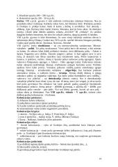 Senovės civilizacijų istorija - teorija 14 puslapis