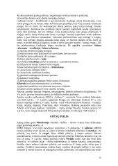 Senovės civilizacijų istorija - teorija 15 puslapis