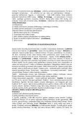 Senovės civilizacijų istorija - teorija 16 puslapis