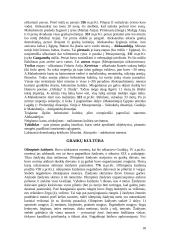 Senovės civilizacijų istorija - teorija 18 puslapis