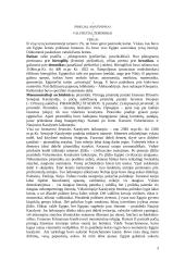 Senovės civilizacijų istorija - teorija 3 puslapis