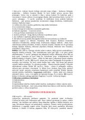 Senovės civilizacijų istorija - teorija 9 puslapis