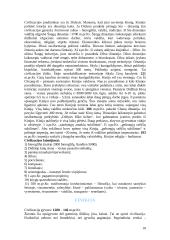 Senovės civilizacijų istorija - teorija 10 puslapis