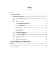 Transporto organizavimas logistikos sistemose 2 puslapis