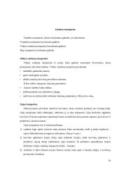 Transporto organizavimas logistikos sistemose 11 puslapis