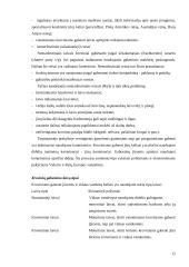 Transporto organizavimas logistikos sistemose 13 puslapis