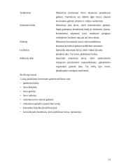 Transporto organizavimas logistikos sistemose 14 puslapis