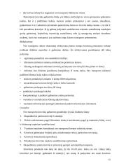 Transporto organizavimas logistikos sistemose 16 puslapis