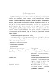 Transporto organizavimas logistikos sistemose 18 puslapis