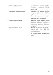 Transporto organizavimas logistikos sistemose 19 puslapis