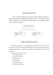 Transporto organizavimas logistikos sistemose 4 puslapis