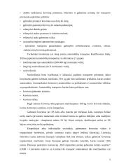 Transporto organizavimas logistikos sistemose 6 puslapis