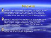 Antarktida. Skaidrės. 12 puslapis