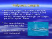 Antarktida. Skaidrės. 14 puslapis