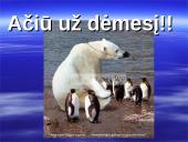 Antarktida. Skaidrės. 16 puslapis