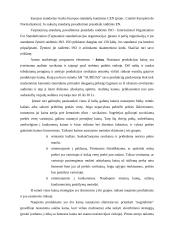 X įmonės marketingo planas 12 puslapis