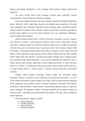 X įmonės marketingo planas 13 puslapis