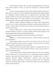 X įmonės marketingo planas 14 puslapis