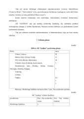 X įmonės marketingo planas 15 puslapis