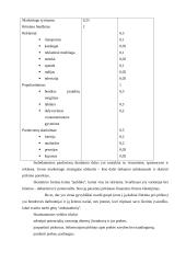 X įmonės marketingo planas 16 puslapis