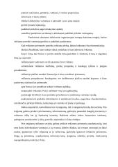 X įmonės marketingo planas 17 puslapis