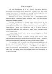 X įmonės marketingo planas 19 puslapis