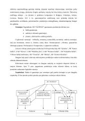 X įmonės marketingo planas 4 puslapis