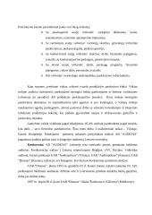 X įmonės marketingo planas 5 puslapis