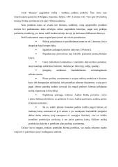 X įmonės marketingo planas 6 puslapis