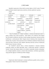 X įmonės marketingo planas 8 puslapis