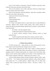 X įmonės marketingo planas 9 puslapis