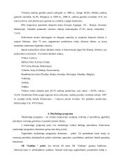 X įmonės marketingo planas 10 puslapis