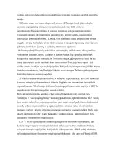 Vyriausiasis Lietuvos išlaisvinimo komitetas (VLIK) 4 puslapis