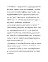 Vyriausiasis Lietuvos išlaisvinimo komitetas (VLIK) 5 puslapis