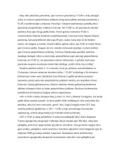 Vyriausiasis Lietuvos išlaisvinimo komitetas (VLIK) 6 puslapis